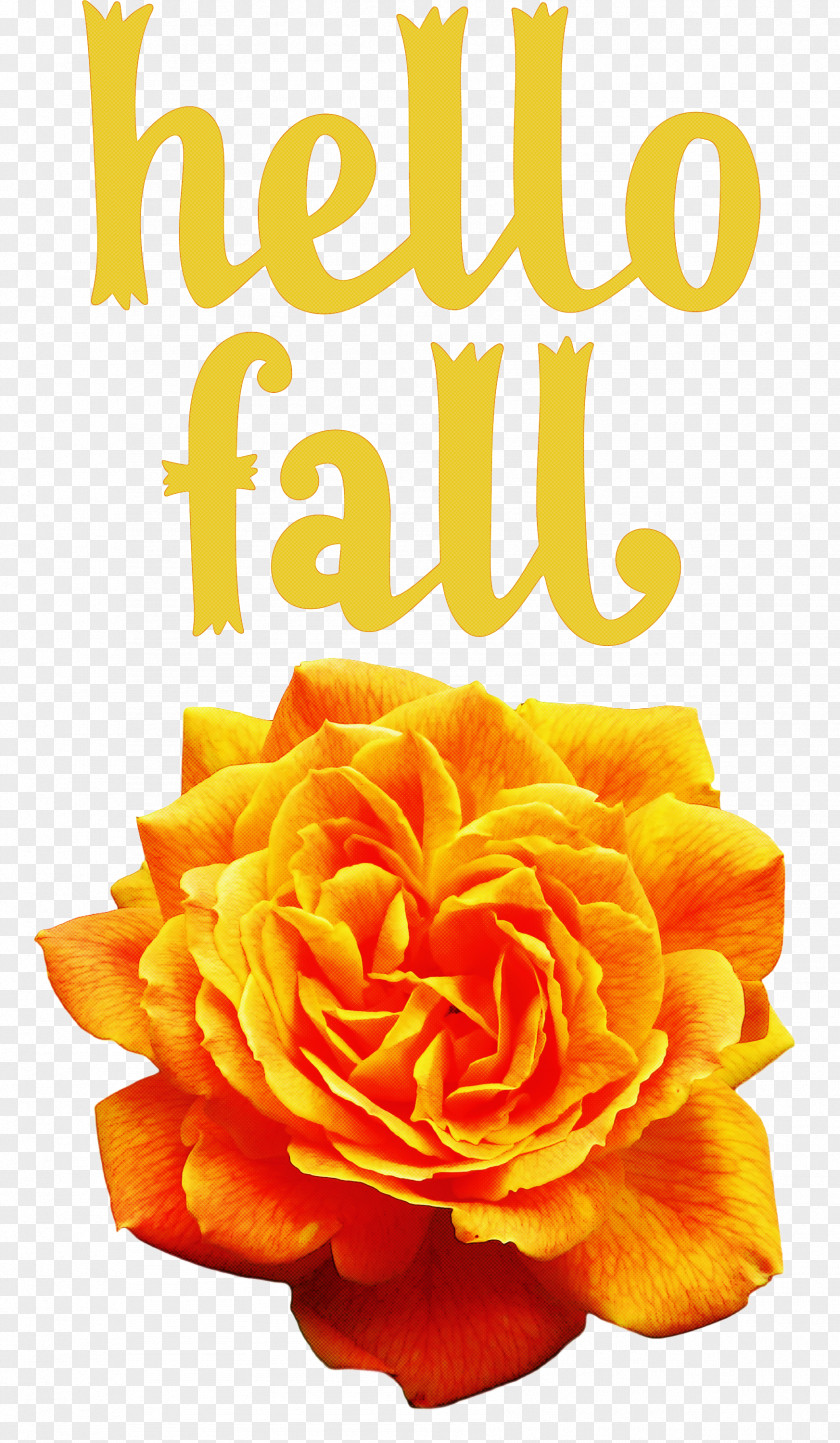 Hello Fall Fall Autumn PNG