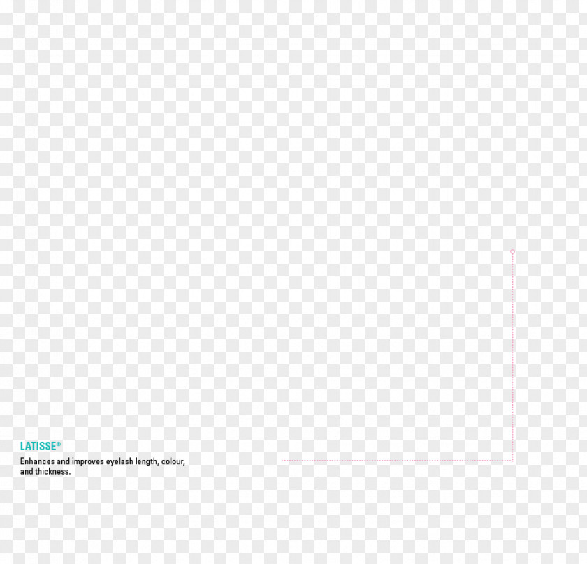 Line Paper Brand Angle PNG