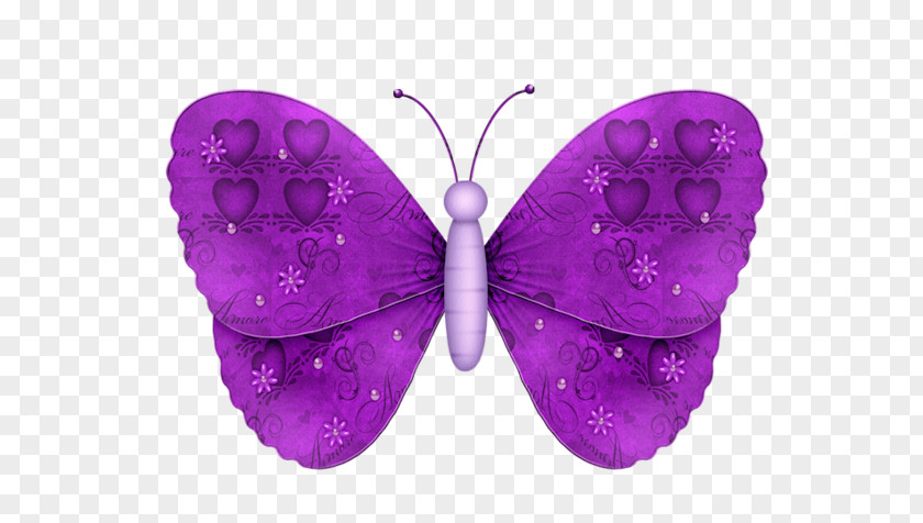 Papillon Violet To A Butterfly Image Borboleta PNG