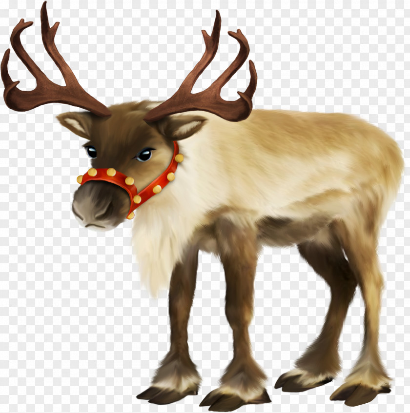 Santa Claus Reindeer Sled Clip Art PNG