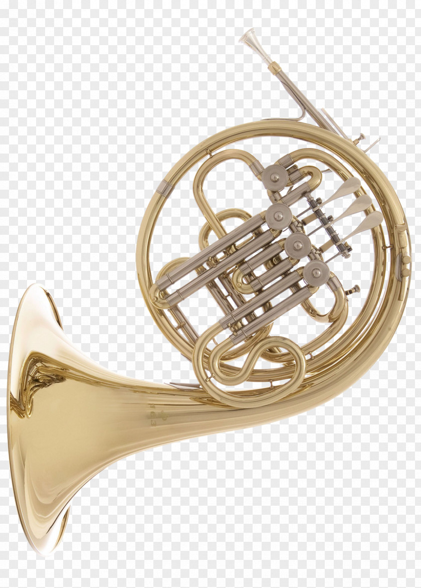 Scale Saxhorn Tenor Horn French Horns Brass Instruments PNG