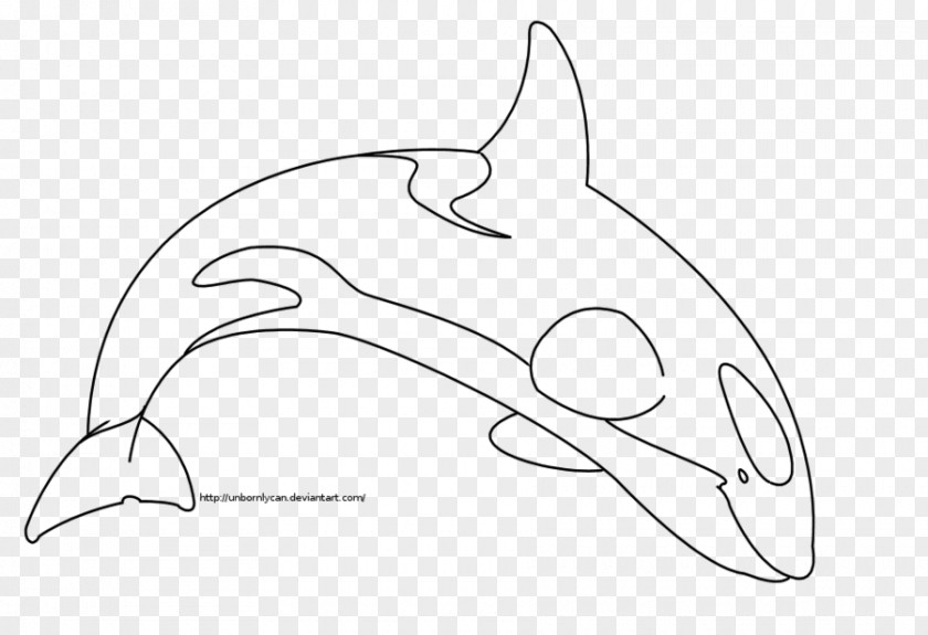 Whales And Kids Dolphin Line Art Drawing Killer Whale Clip PNG