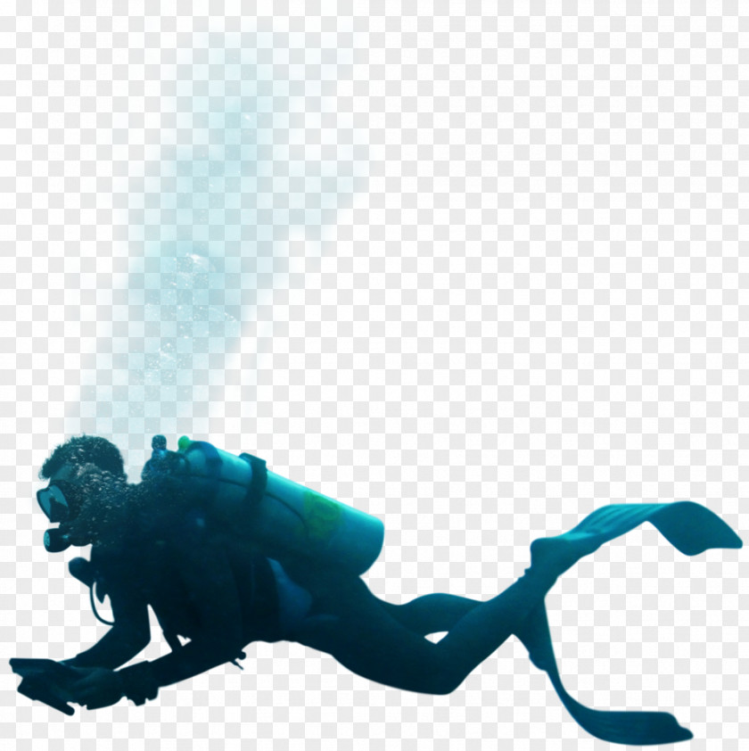Diving Swimming Underwater Scuba Icon PNG