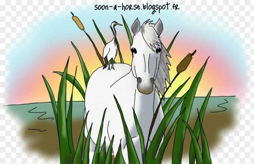 Insect Grasses Desktop Wallpaper Cartoon PNG