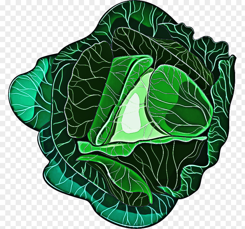 Kale Spinach Green Leaf Logo PNG