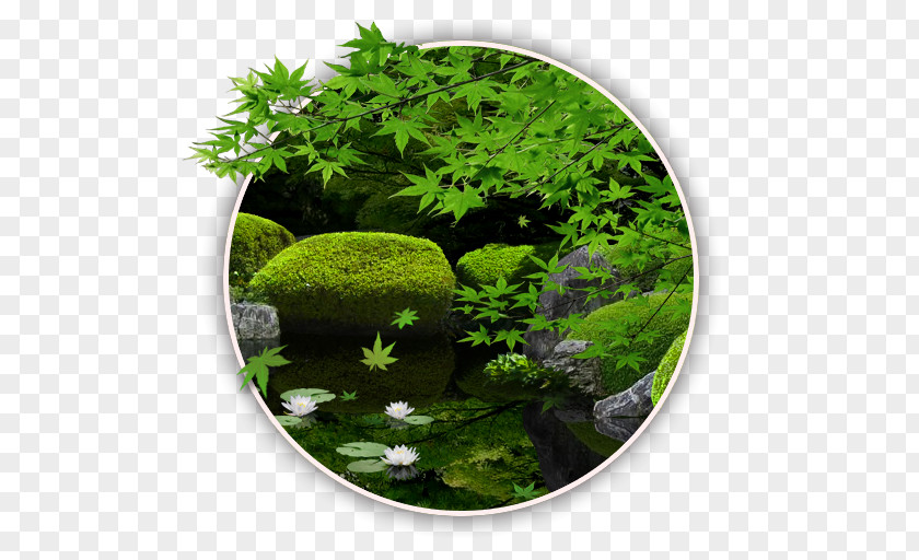 Live Wallpaper Android Application Package Google PlayZen Garden Color Zen My Moody Free PNG