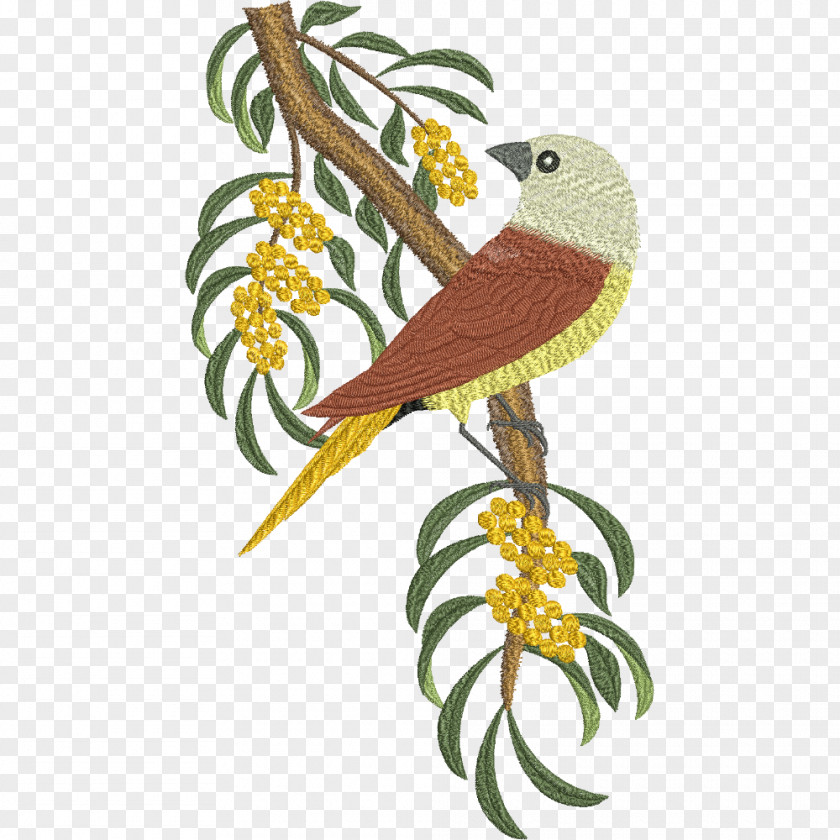 Parrot Australian King Bird Beak Embroidery PNG