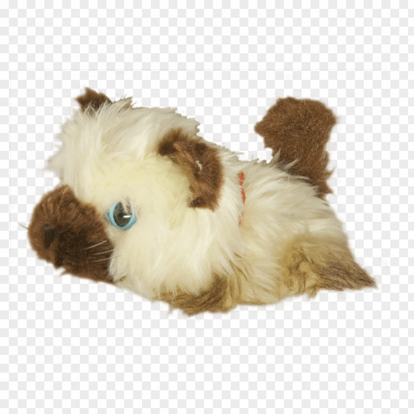 Puppy Dog Breed Shih Tzu Lhasa Apso Companion PNG
