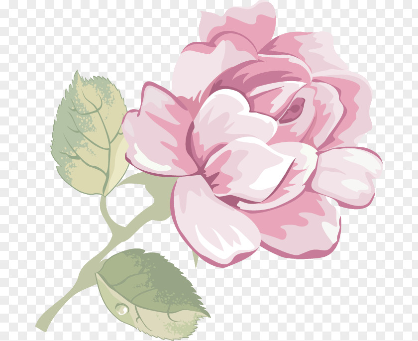 Rose PNG