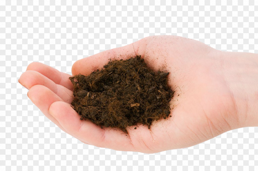 The Heart Of Soil Stock Photography Royalty-free PNG