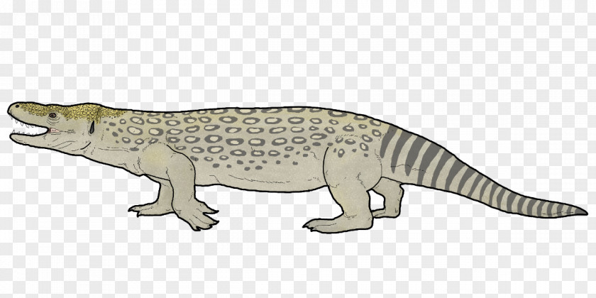 Amphibian Estesia Monitor Lizard Crocodile Tylosaurus PNG