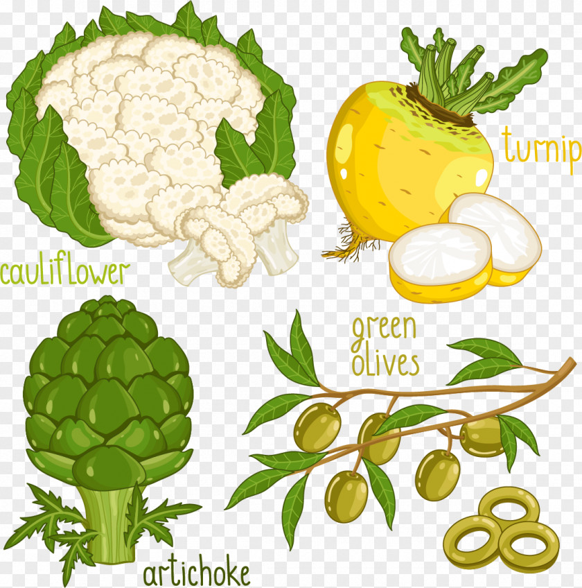 Cauliflower Vegetable Food Illustration PNG
