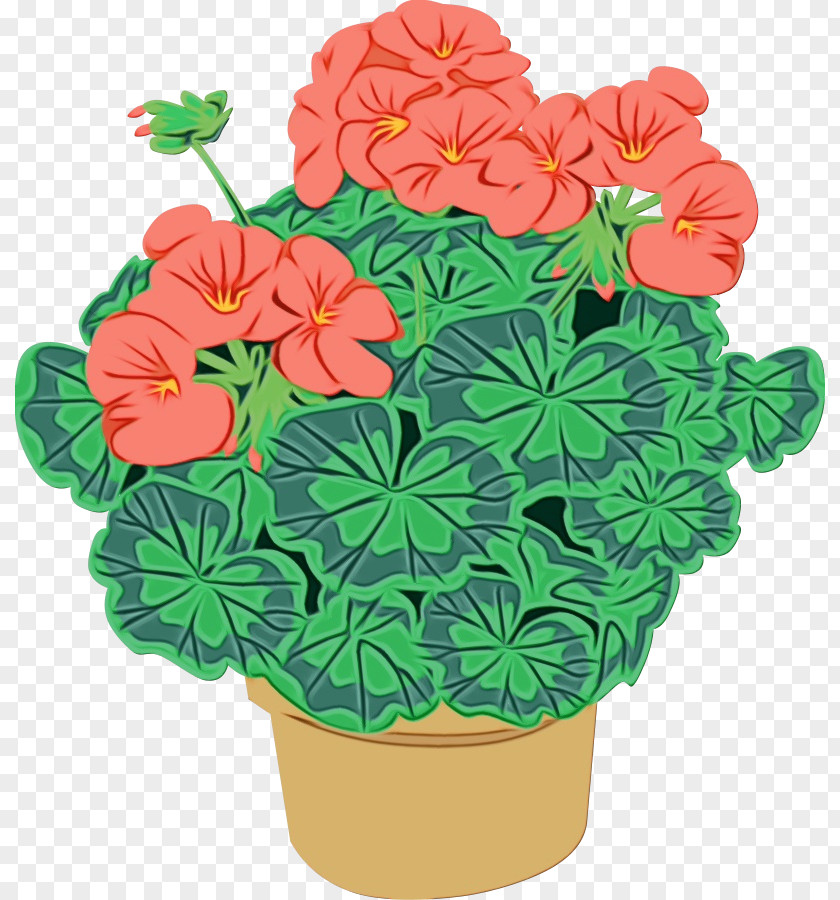 Flower Plant Flowerpot Petal Impatiens PNG