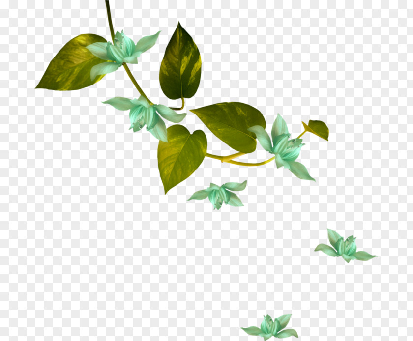 Hari Raya Background Flower Green Leaf White Image PNG