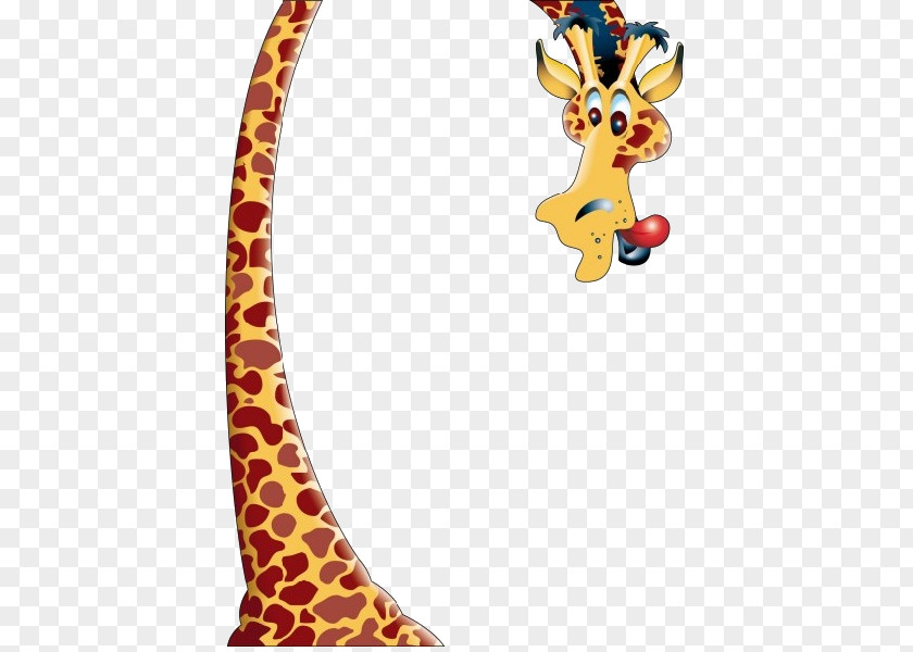 Long Neck Animals Baby Giraffes Clip Art PNG