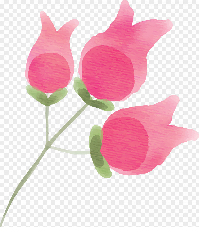 Pink Flower Plant Petal Tulip PNG