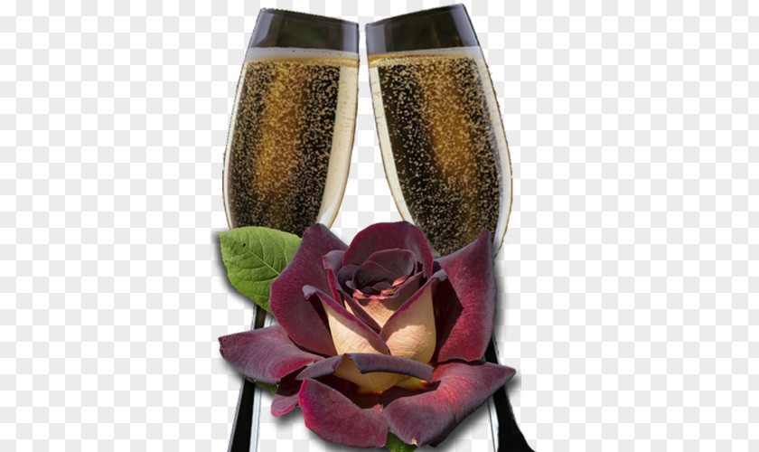 Satyric Rose Champagne Glasses Glass Beer Rosxe9 PNG