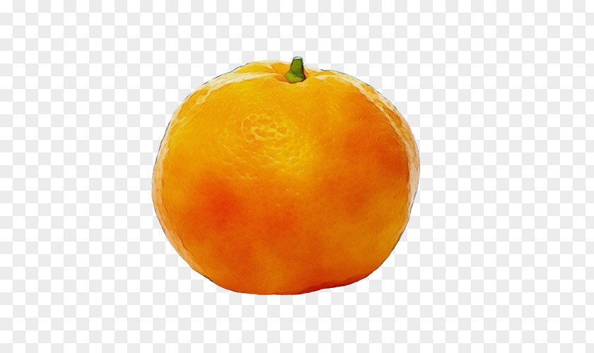 Seedless Fruit Mandarin Orange PNG