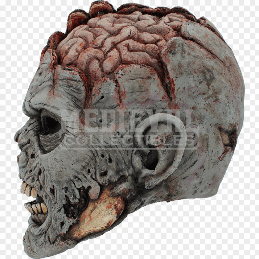Skull Brain Mask Head Grey Matter PNG