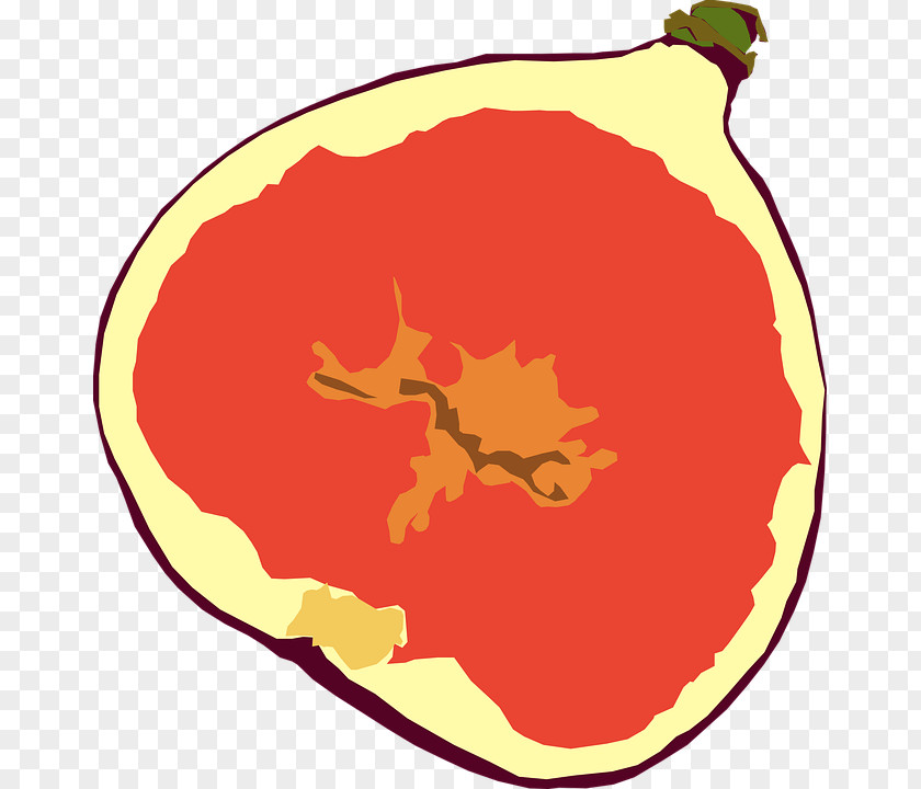 Figs Common Fig Clip Art PNG