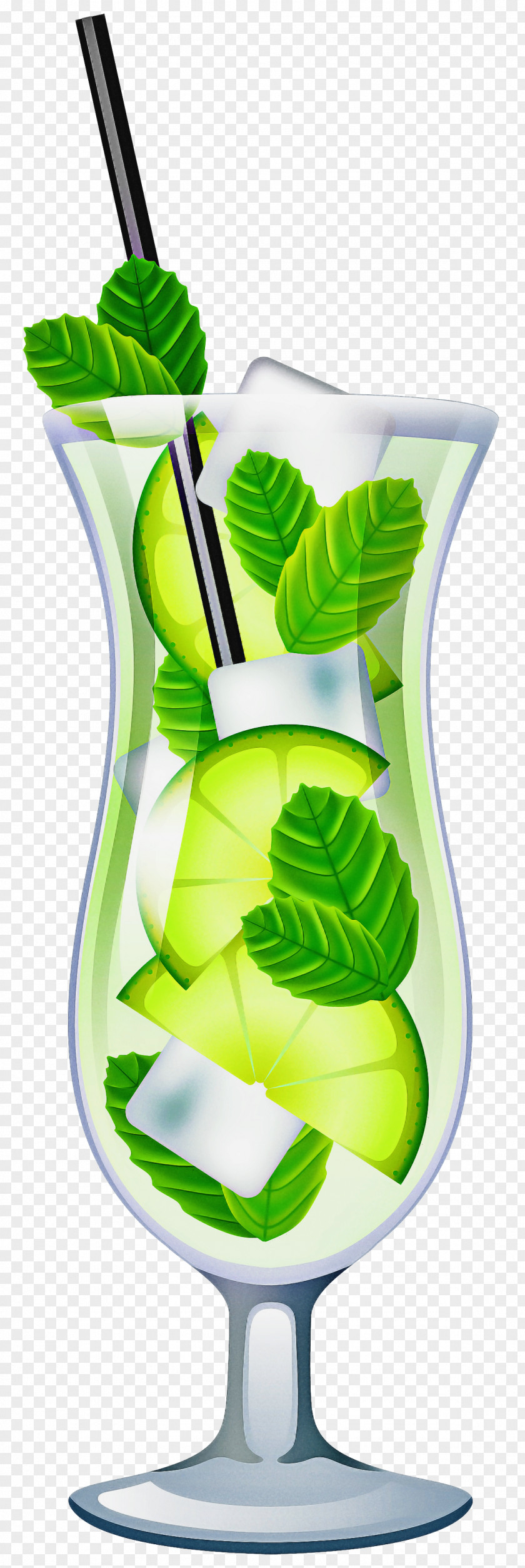 Flower Water Bottle Green Leaf Clip Art Plant PNG