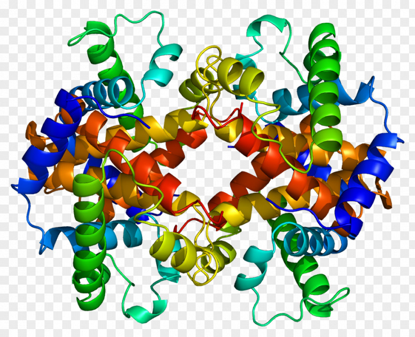 Molecular Chain Deductible Embryonic Hemoglobin A Glycated HBE1 PNG