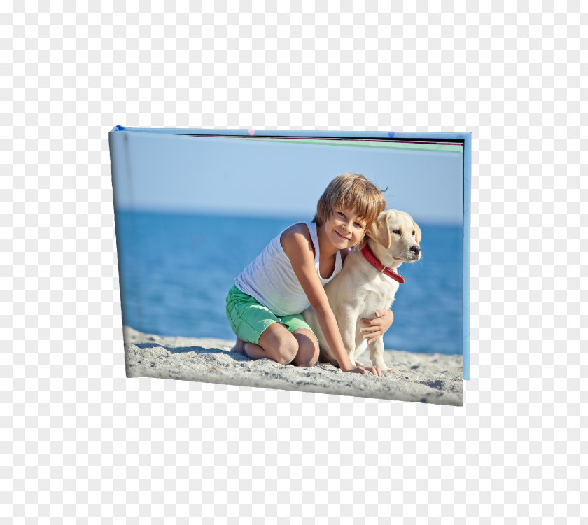 Book Hardcover Paperback Photo-book Cover PNG