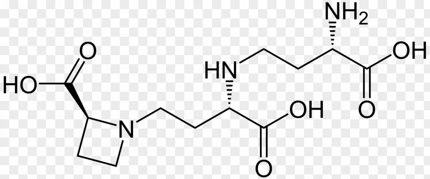 Carboxylic Acid Substance Theory Mandelic Amino PNG