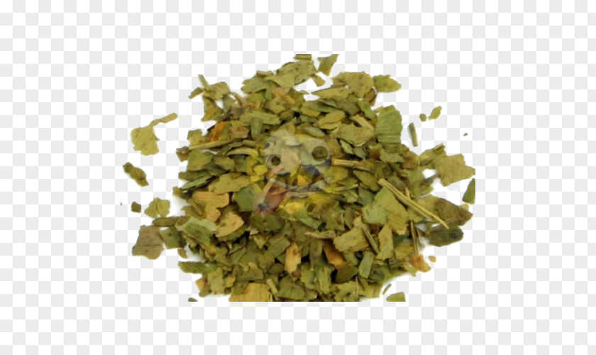 Ginkgo-biloba Ginkgo Biloba Energy Power Ingredient Stimulant PNG