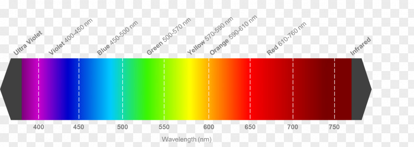 Warm Color Light Visible Spectrum Wavelength Electromagnetic PNG
