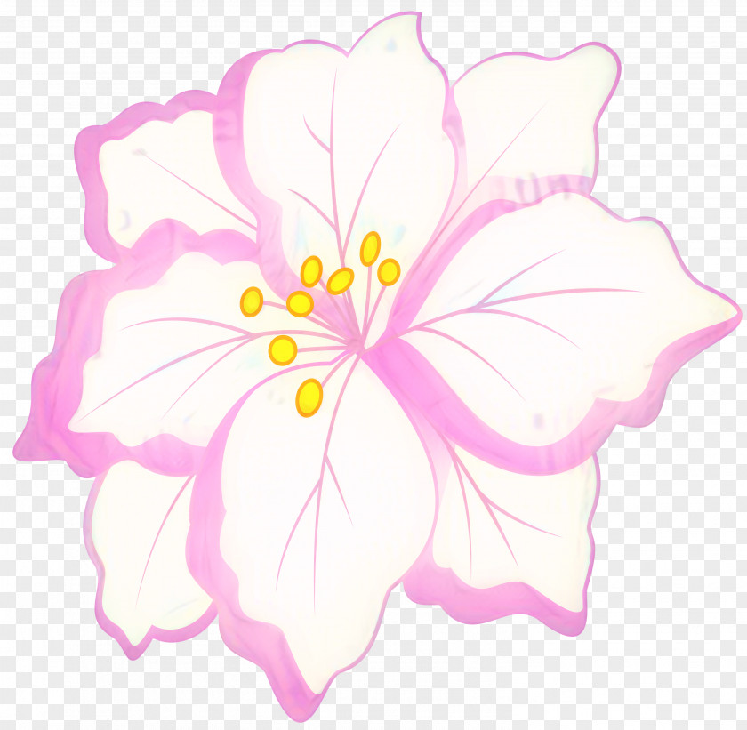 Floral Design Cut Flowers Mallows PNG