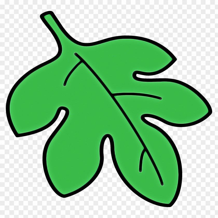 Green Leaf Symbol Plant Line Art PNG