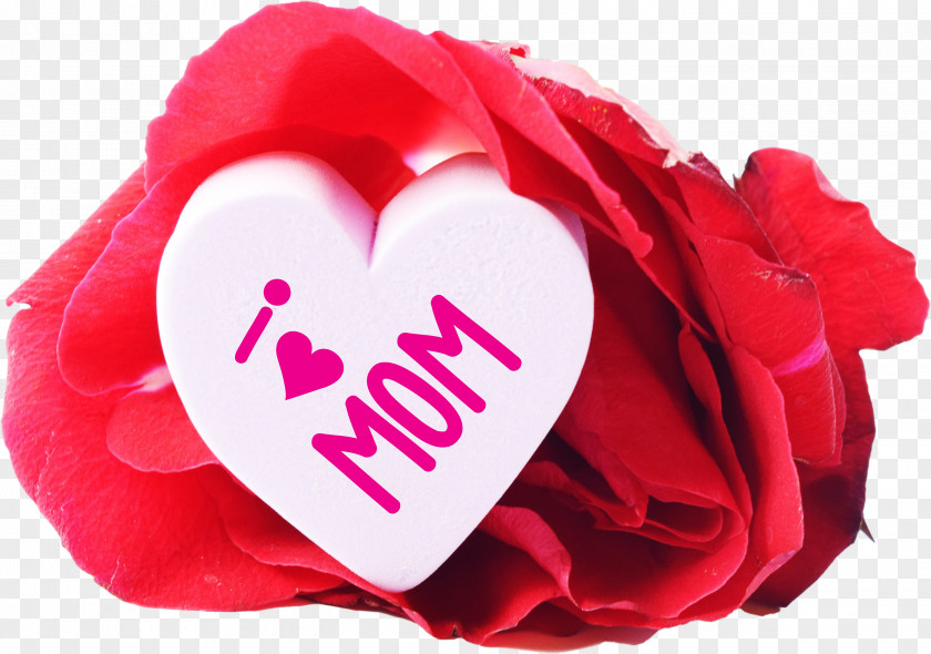 Mothers Day Mother's Message Father's Gift PNG