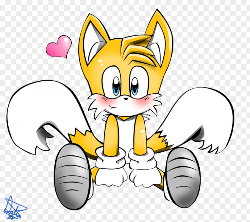 Trip Lee Sonic And The Secret Rings Tails Mania Hedgehog Video Game PNG