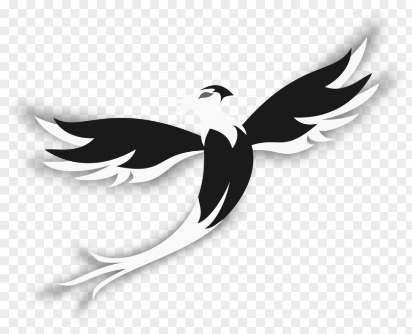 Bird Logo Water Beak Silhouette PNG