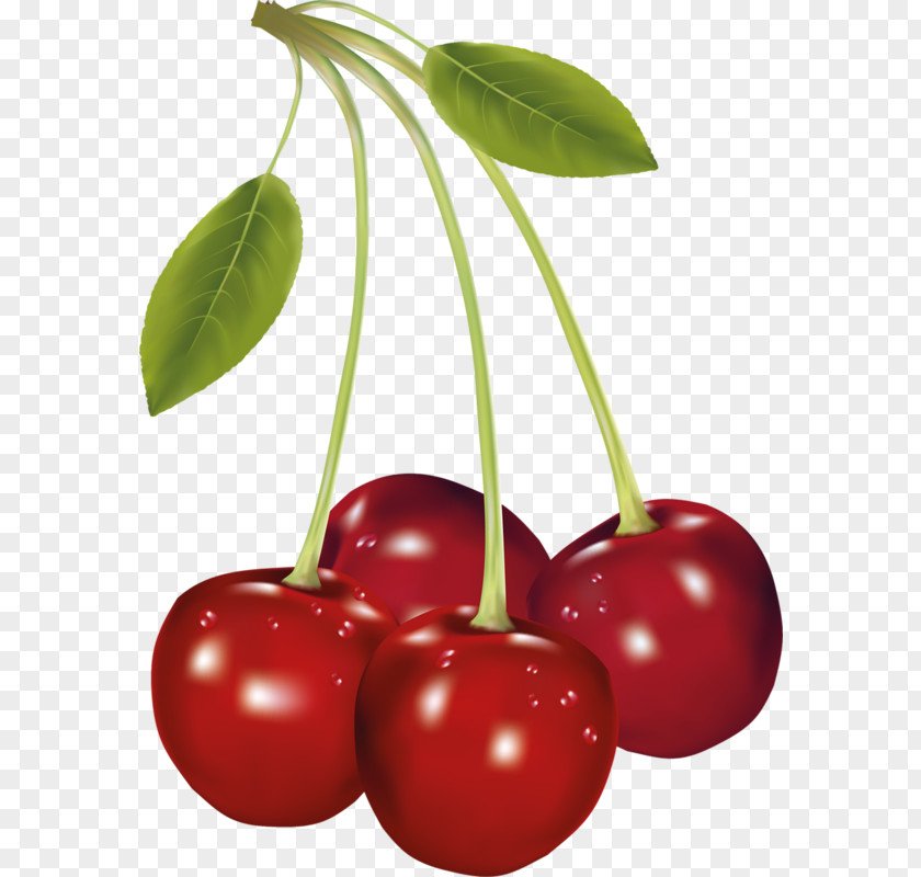 Cherry Barbados Clip Art PNG