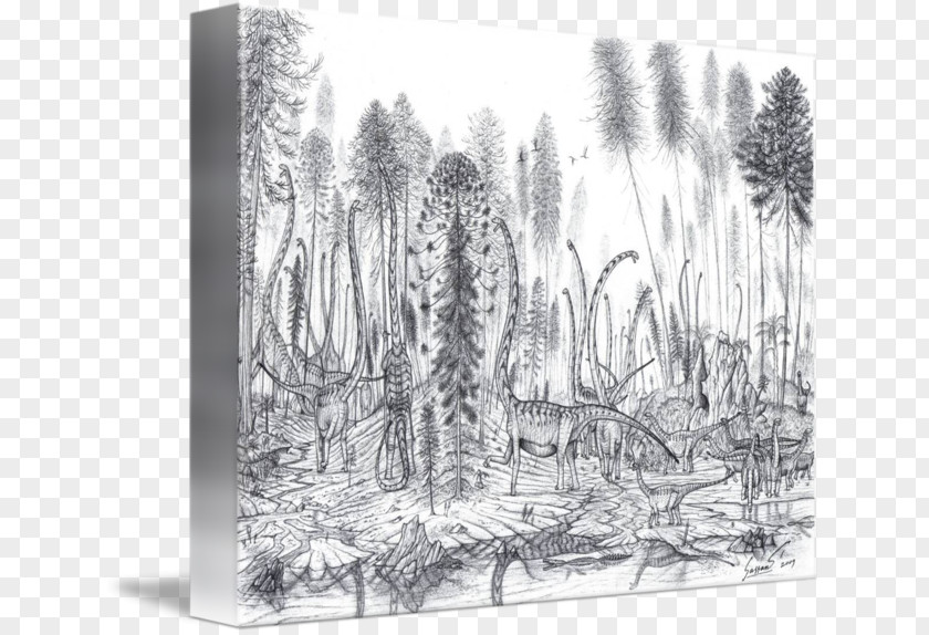 Quarry Visual Arts Photography Pine Sketch PNG