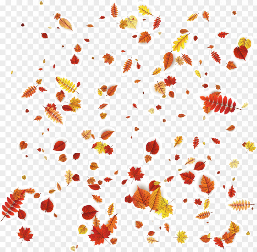 Vector Autumn Leaves Falling Petal Floral Design Orange Pattern PNG