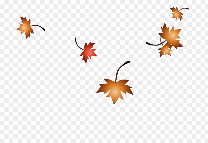 Autumn Leaves Maple Leaf SWF PNG