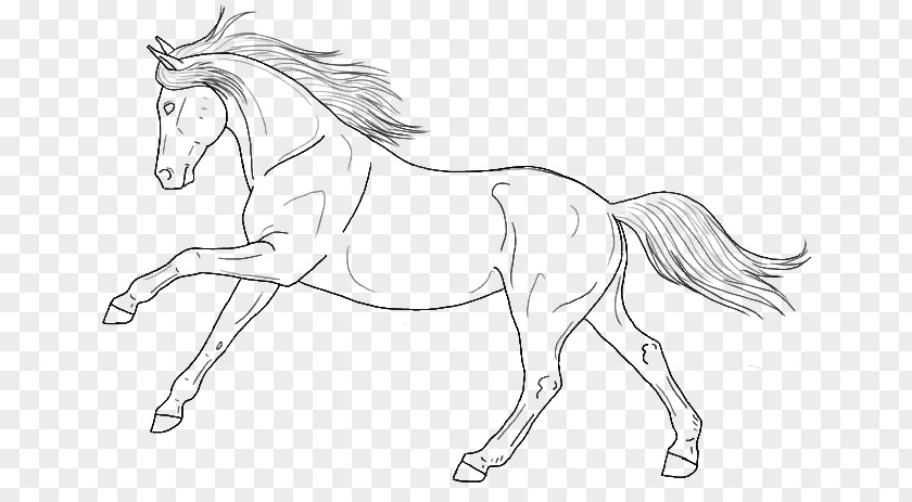 Mustang Line Art Arabian Horse Pony Foal PNG