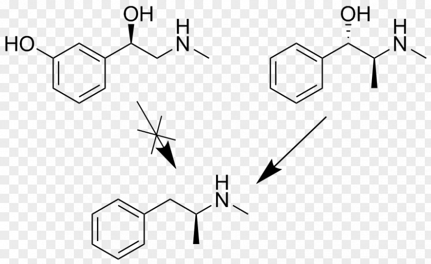 Norepinephrine Diclofenac Cefadroxil Adrenaline Phenylephrine PNG