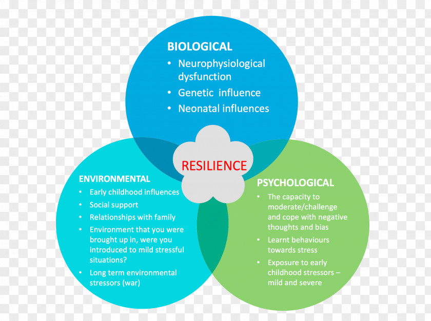 Resilience Mindset Psychology Venn Diagram Behavior Organization PNG