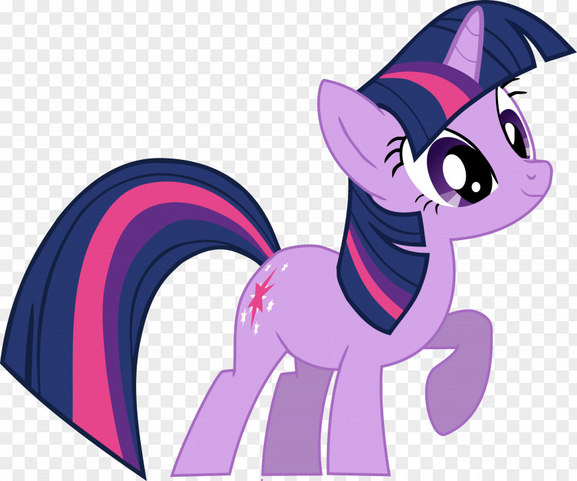 Sparkles Vector Twilight Sparkle Rarity Pinkie Pie Pony Rainbow Dash PNG