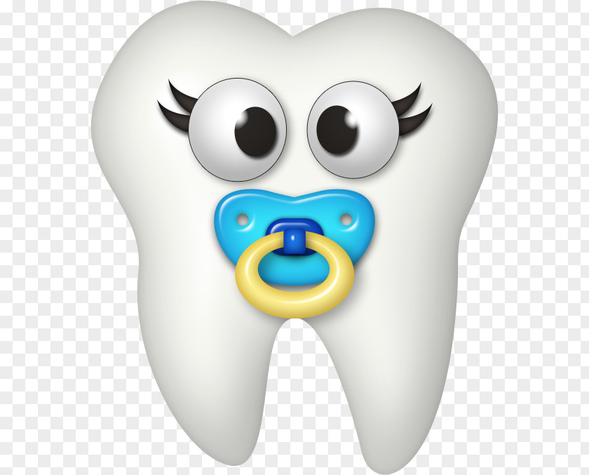 Baby Teeth Human Tooth Deciduous Brushing Clip Art PNG