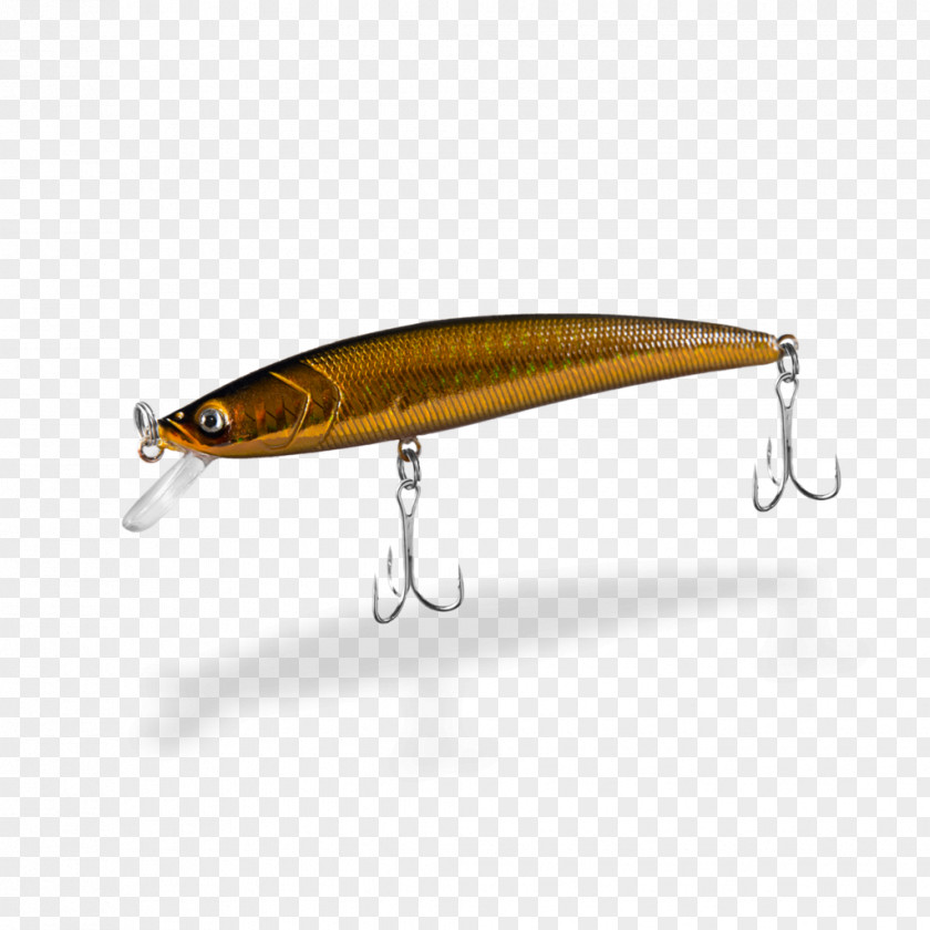 Design Spoon Lure Fish PNG