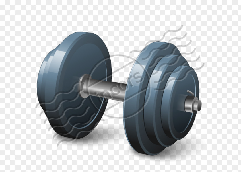 Dumbbell Weight Training Exercise Equipment PNG