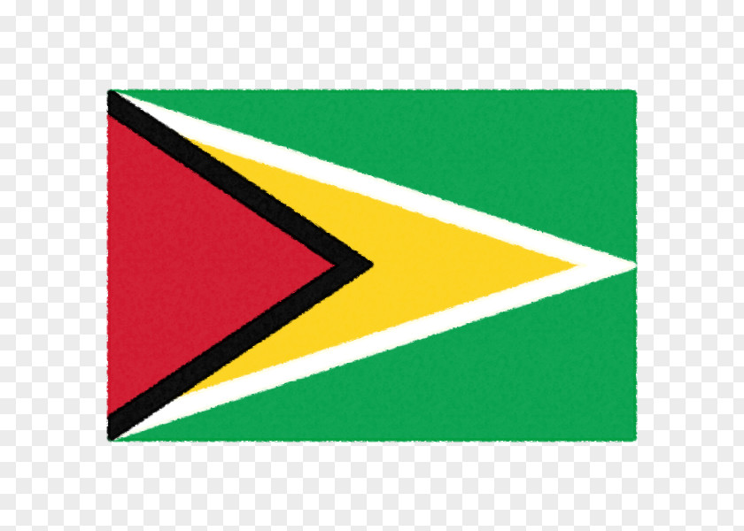 Flag Of Guyana Flags South America National PNG