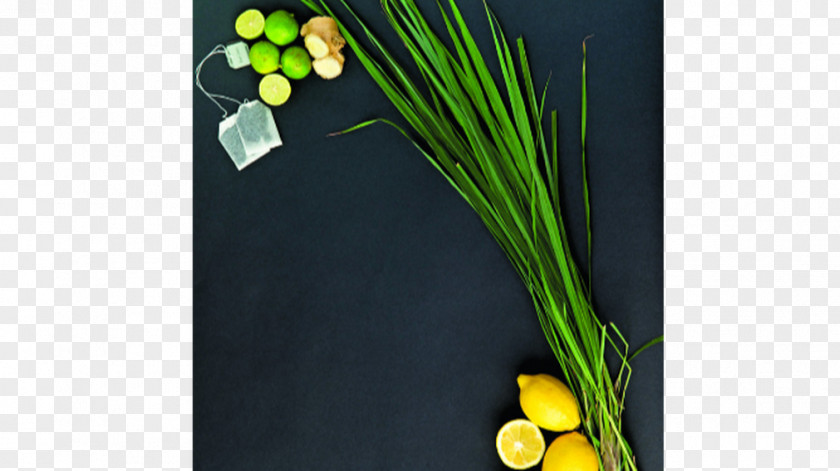 Lemon Cymbopogon Citratus Aloysia Citrodora Fines Herbes Pianta Aromatica PNG