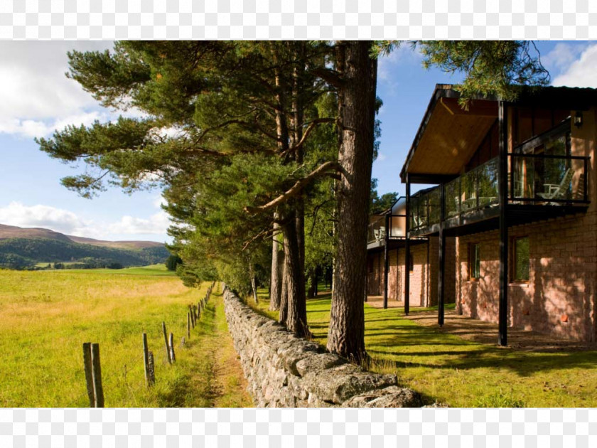 Vacation River Dee, Aberdeenshire Craigendarroch Resort Hilton Grand Vacations At Suites Hotels & Resorts PNG