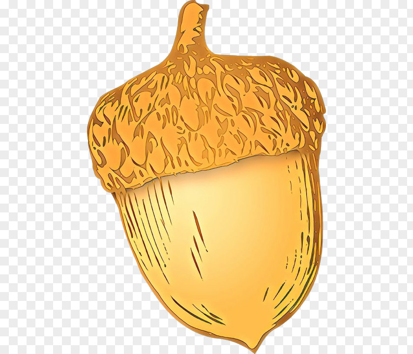 Artifact Allium Onion Cartoon PNG